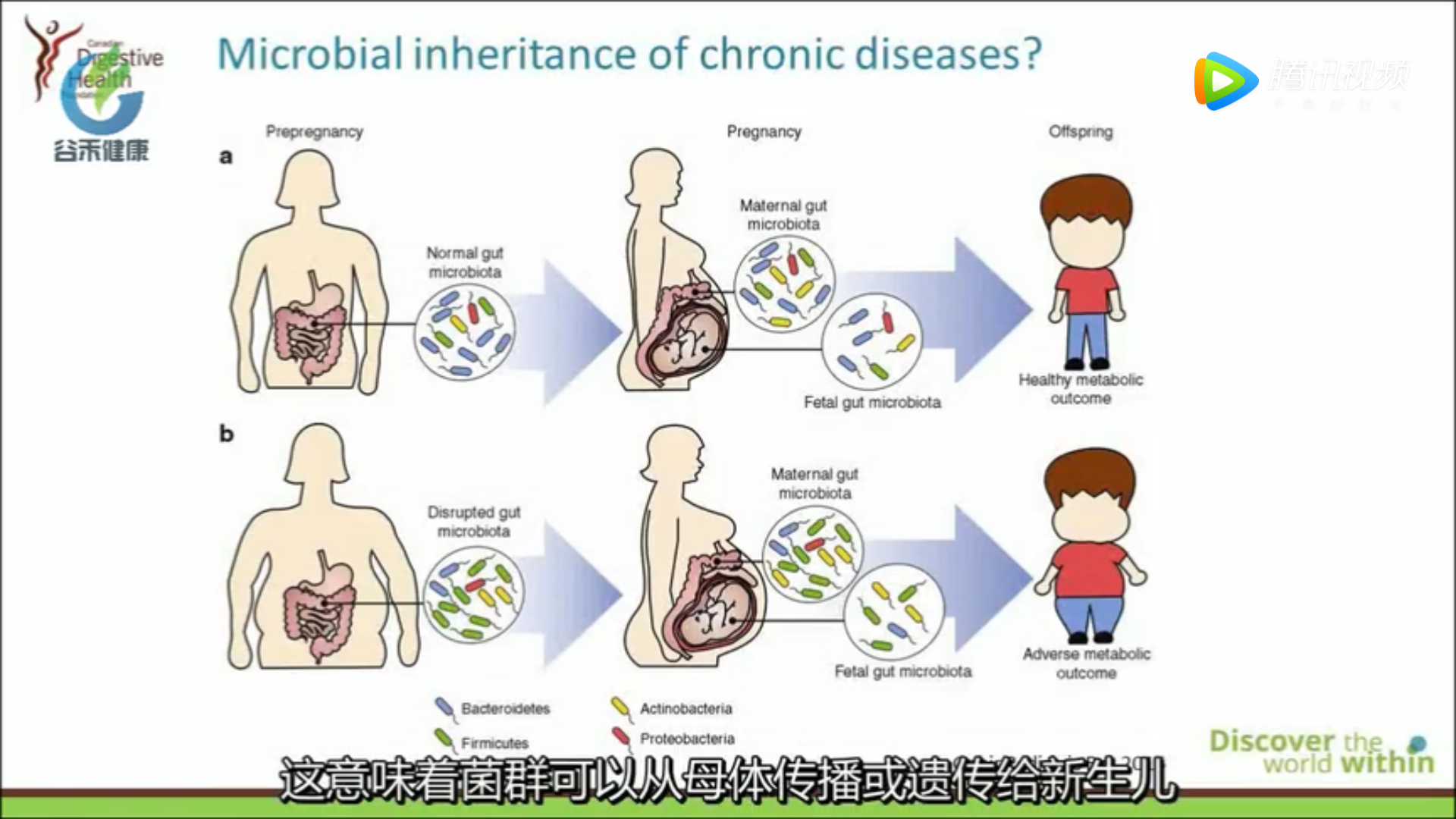 一文读懂微生物扩增子16s测序[通俗易懂]