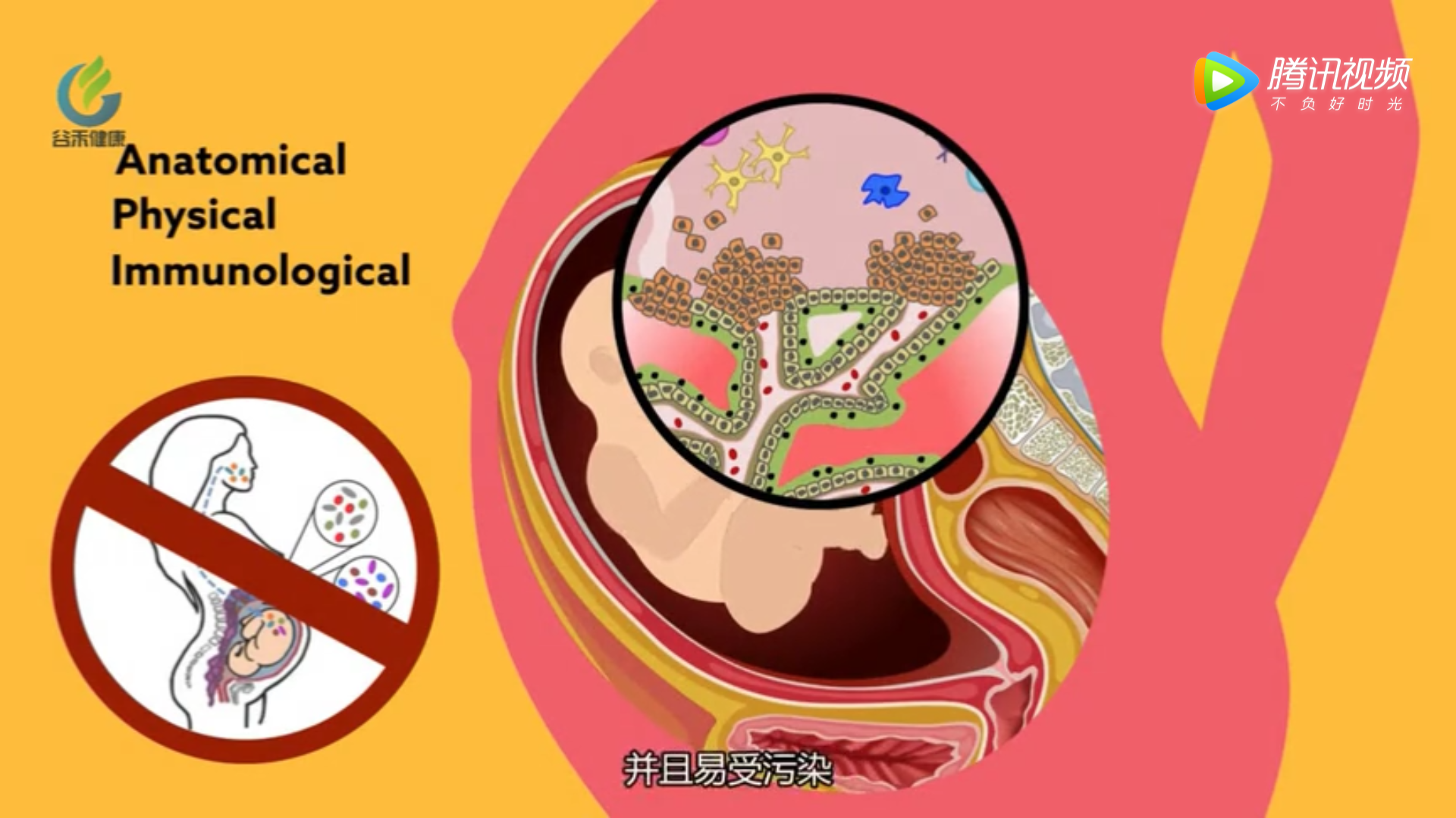 一文读懂微生物扩增子16s测序[通俗易懂]