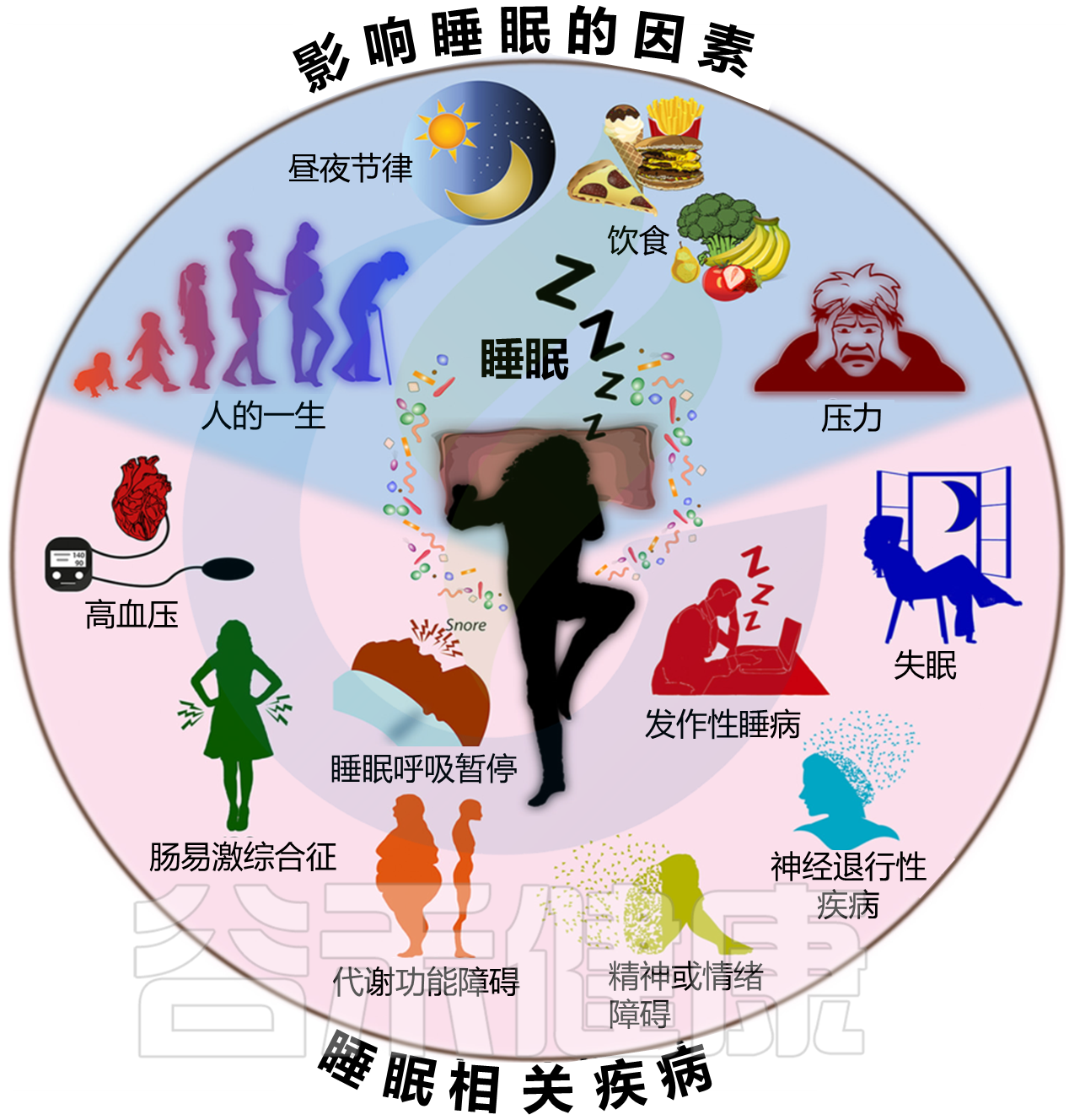 睡眠障碍 谷禾健康 