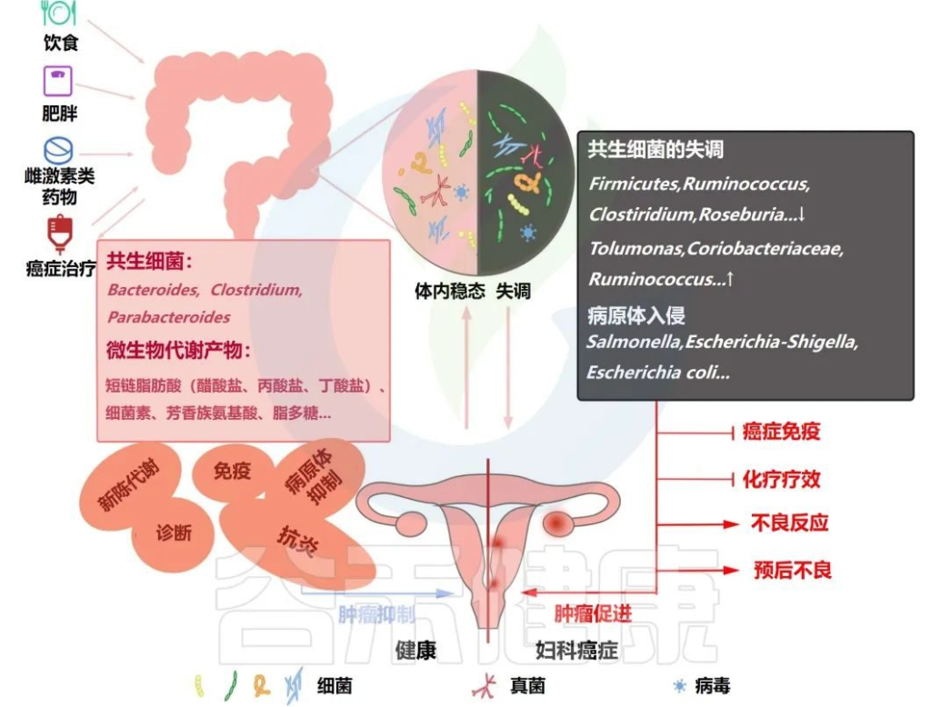 各类妇科炎症的护理方法及炎症自测 - 知乎