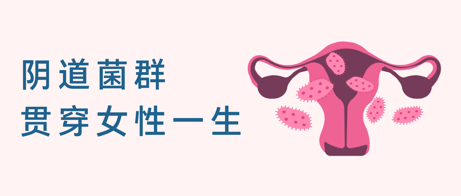阴茎图片