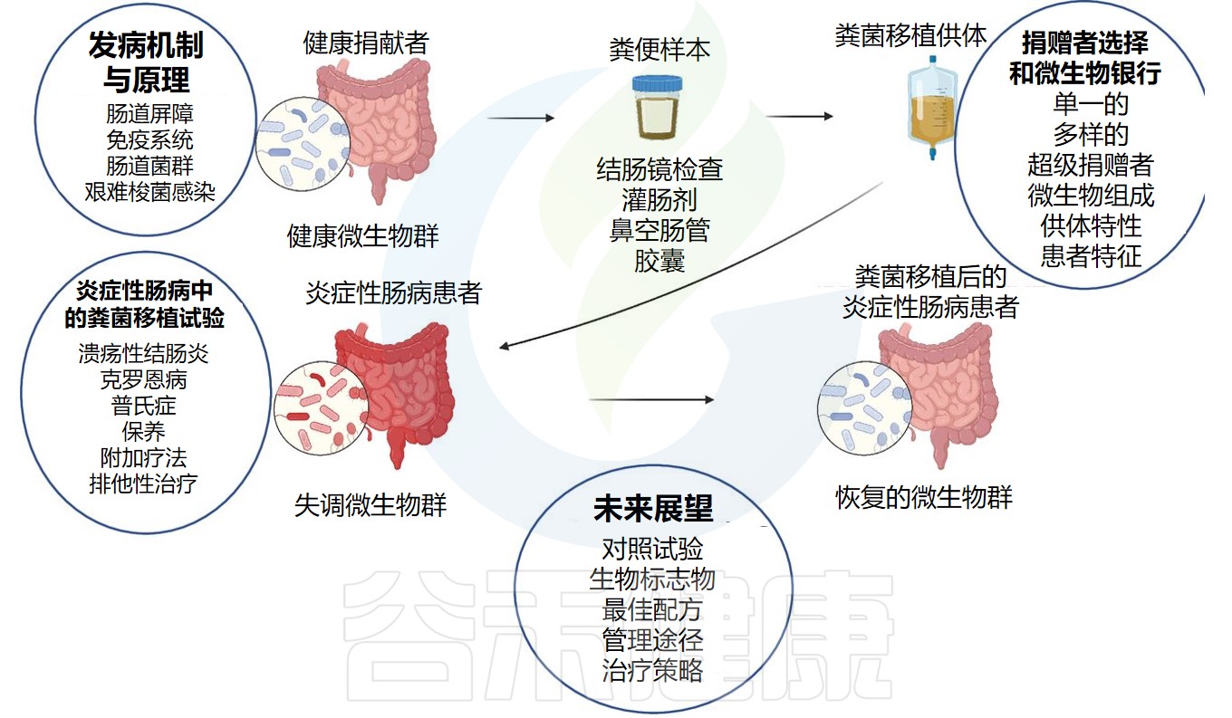 肠道菌群 谷禾健康 