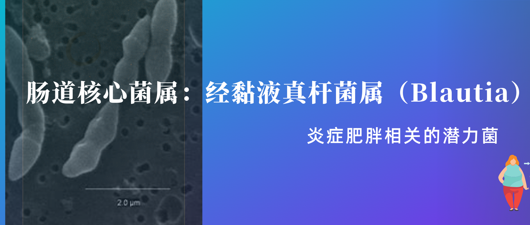 经黏液真杆菌– 谷禾健康