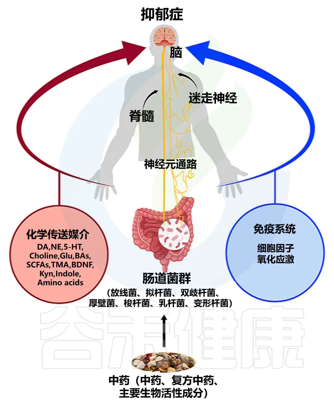 正阳门下剧情介绍