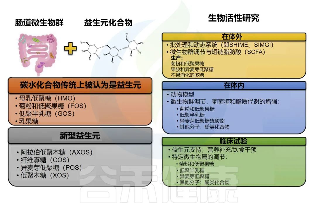 益生菌 – 谷禾健康