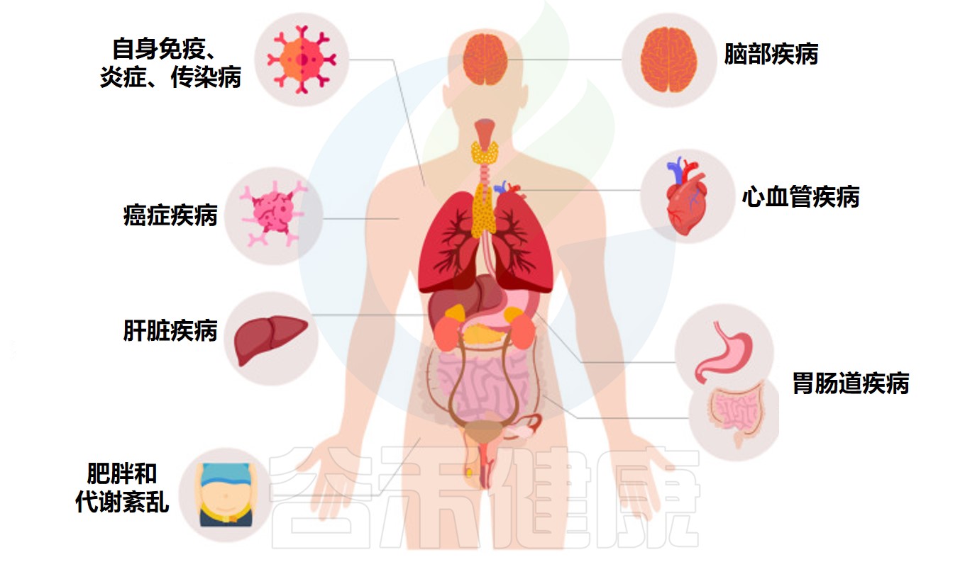 炎症性肠病 – 谷禾健康
