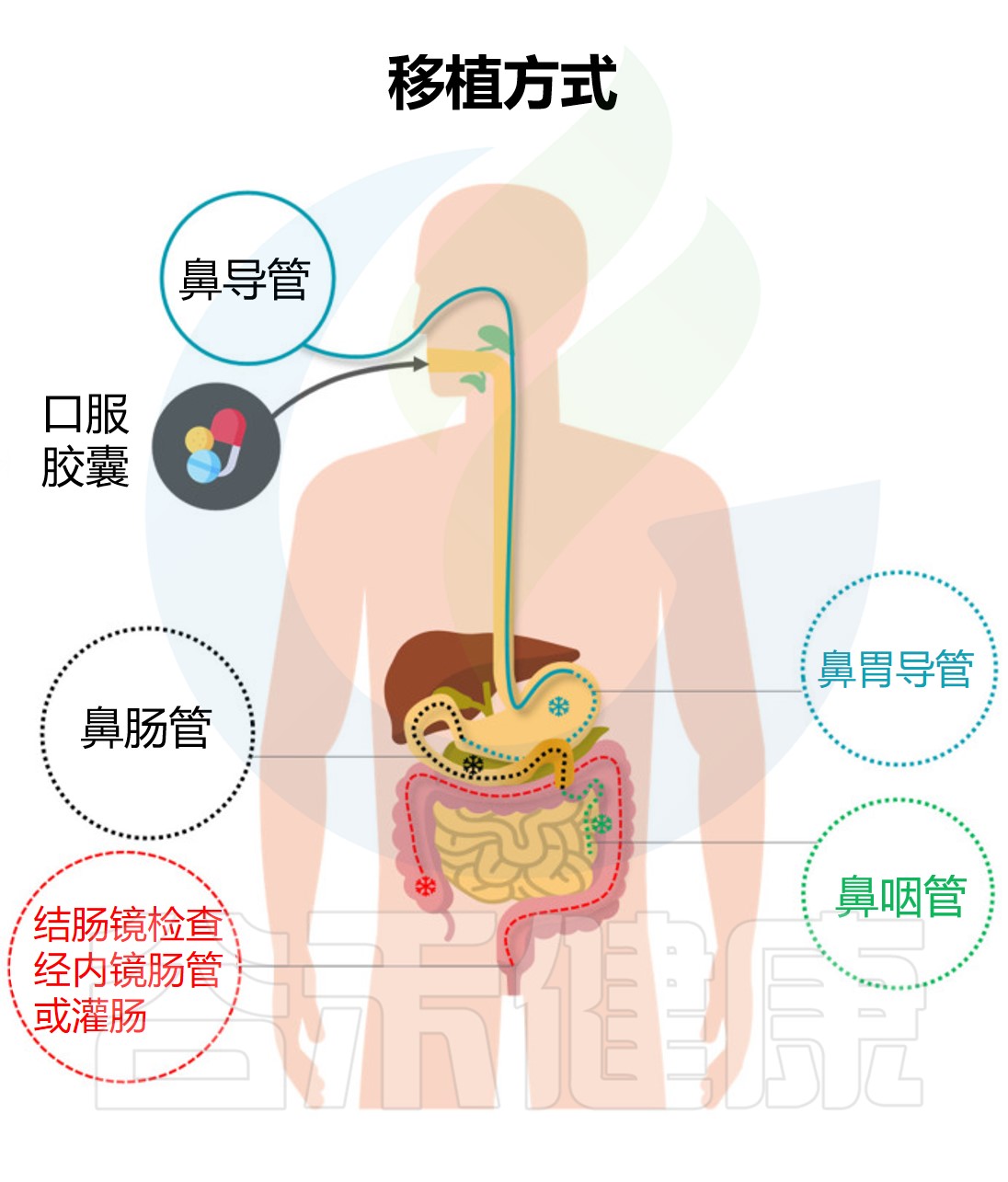 粪菌移植——一种治疗人体疾病的新型疗法 – 谷禾健康