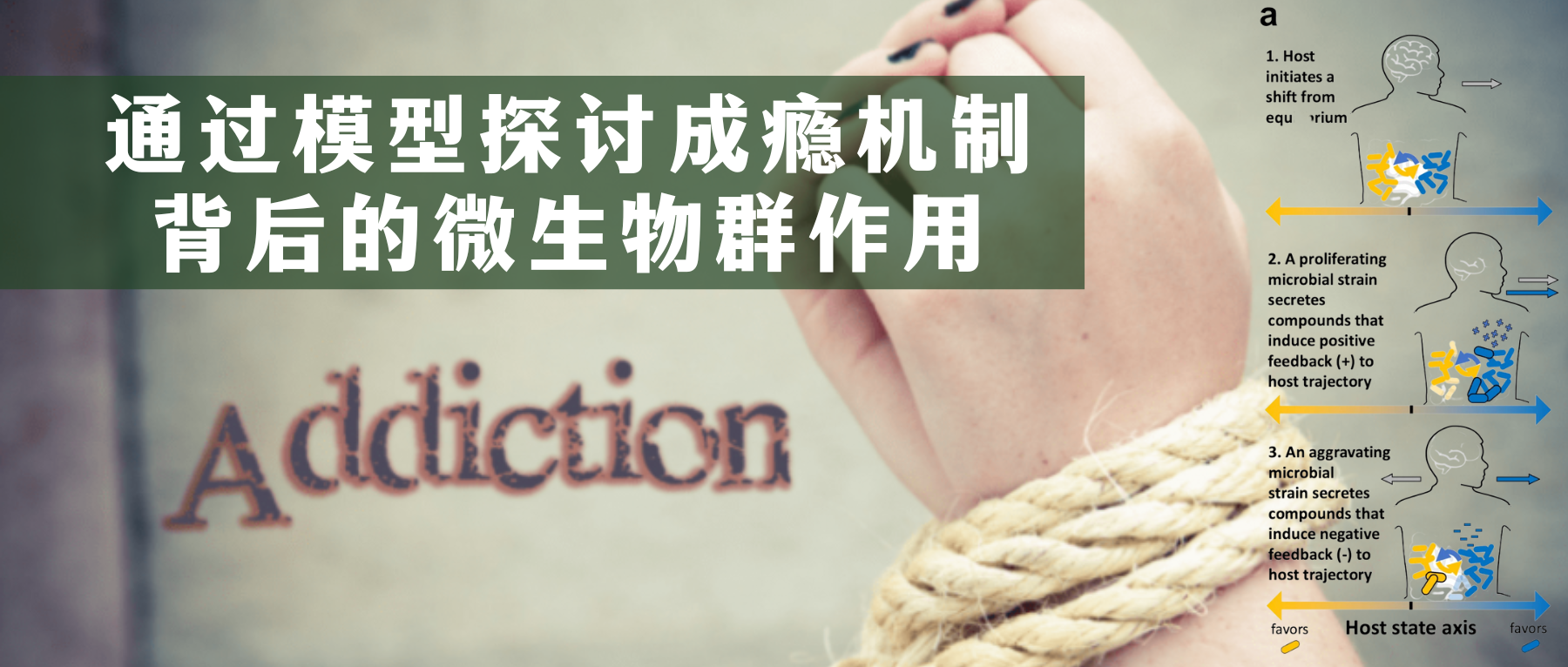 神经递质– 谷禾健康