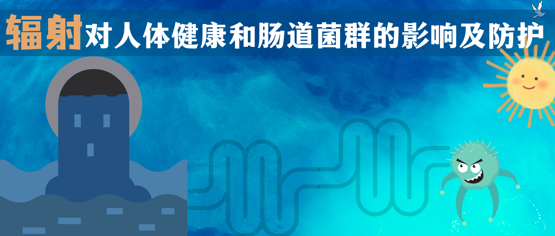 辐射威胁：揭示辐射对人体健康和肠道菌群的影响及防护– 谷禾健康