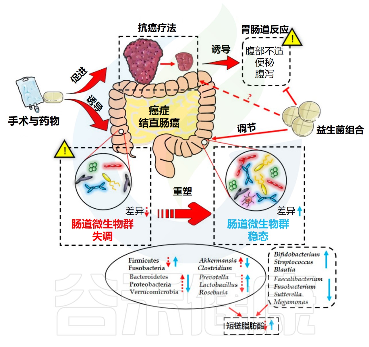 肠道微生物可改善围手术期和术后康复效果 – 谷禾健康