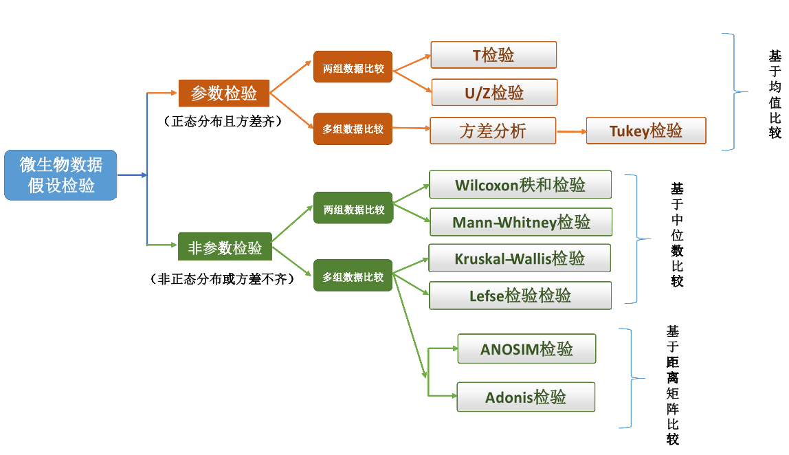 Lfpse Matrix Lefse分析 – 谷禾健康