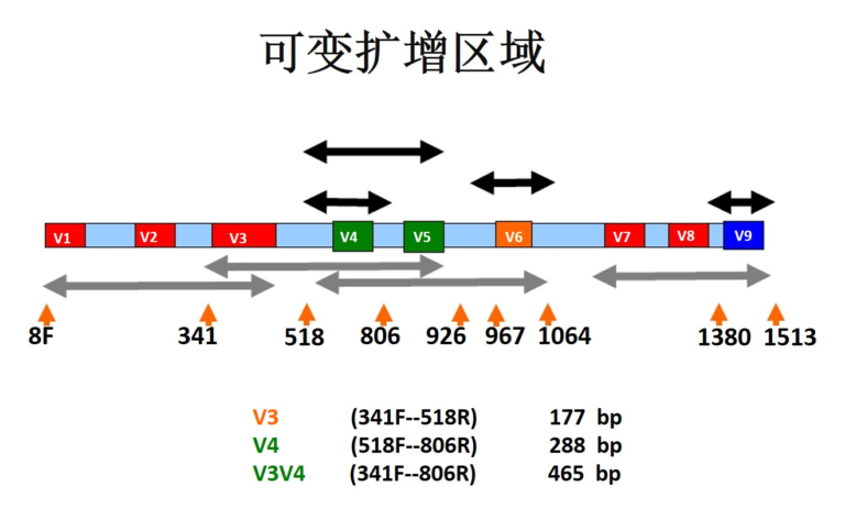 微生物16S科研测序分析服务 – 谷禾健康