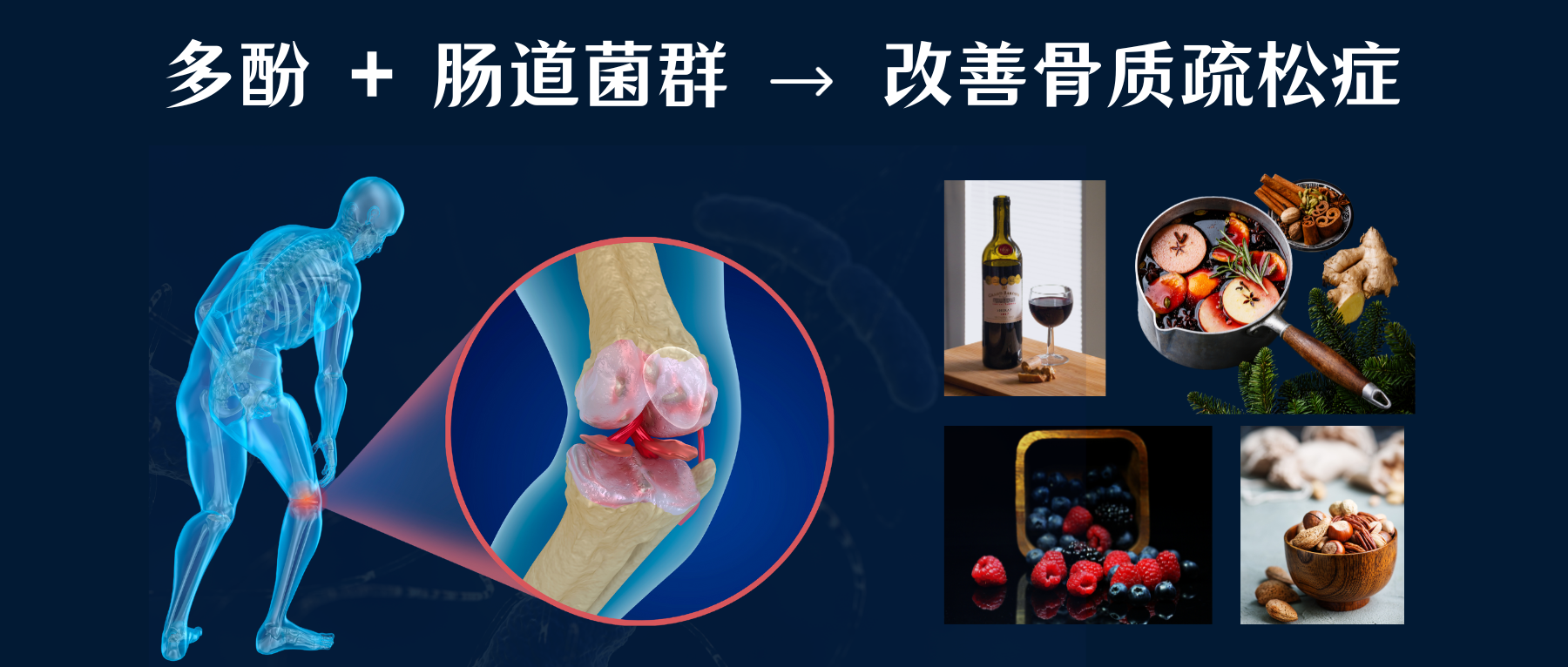 多酚– 谷禾健康