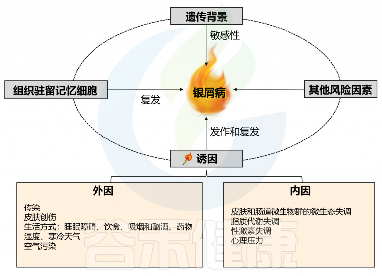 NLRP1炎症小体 – 谷禾健康