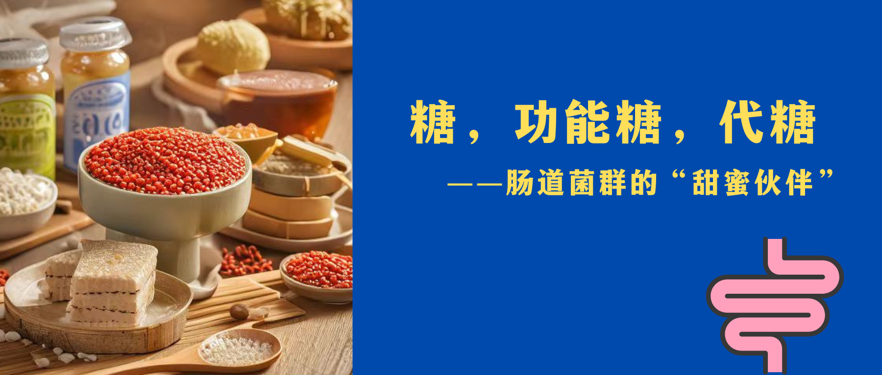 糖,功能糖,代糖,如何从健康角度看这些肠道菌群的“甜蜜伙伴” – 谷禾健康