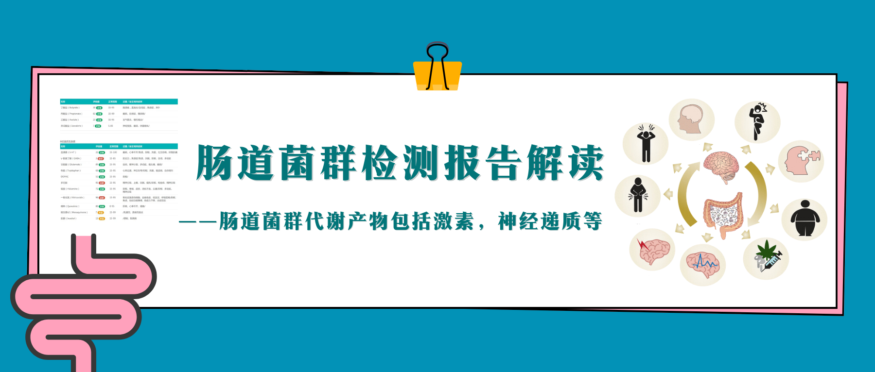 神经递质– 谷禾健康