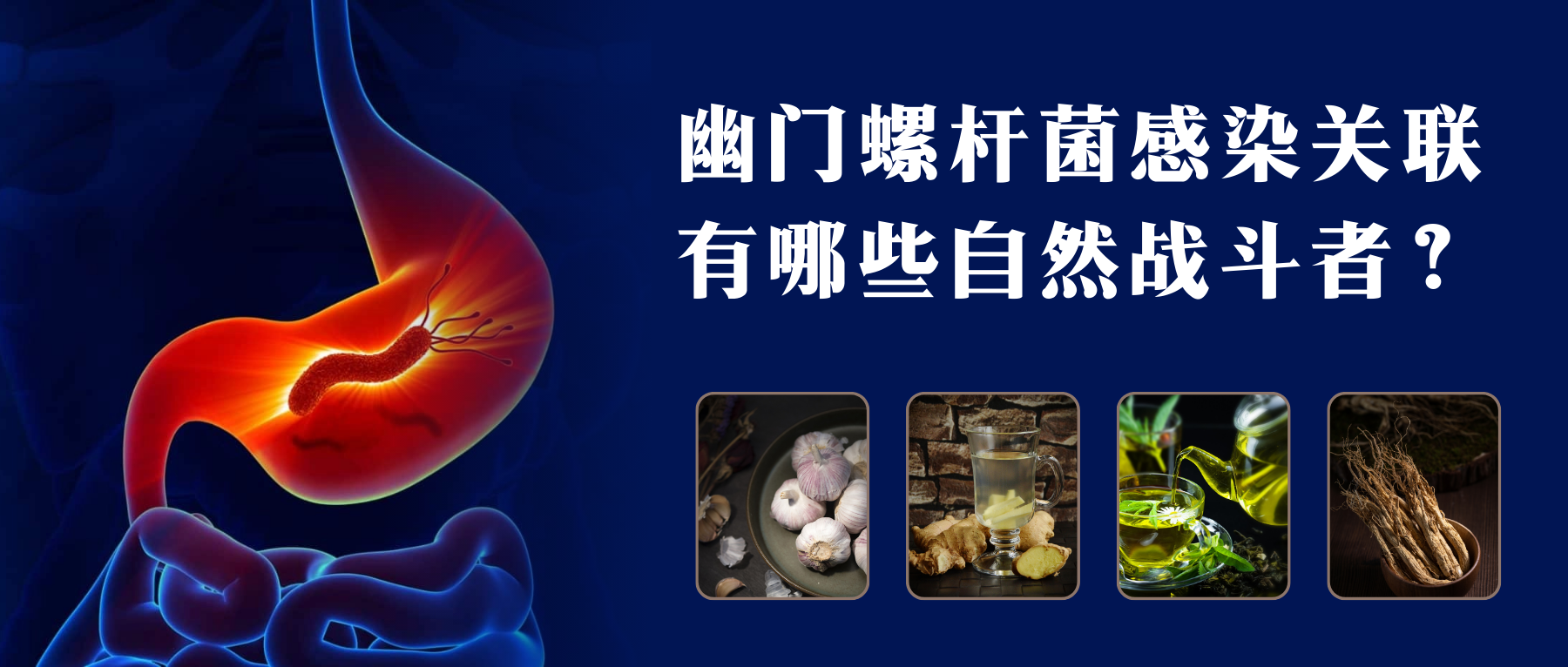 H.pylori – 谷禾健康