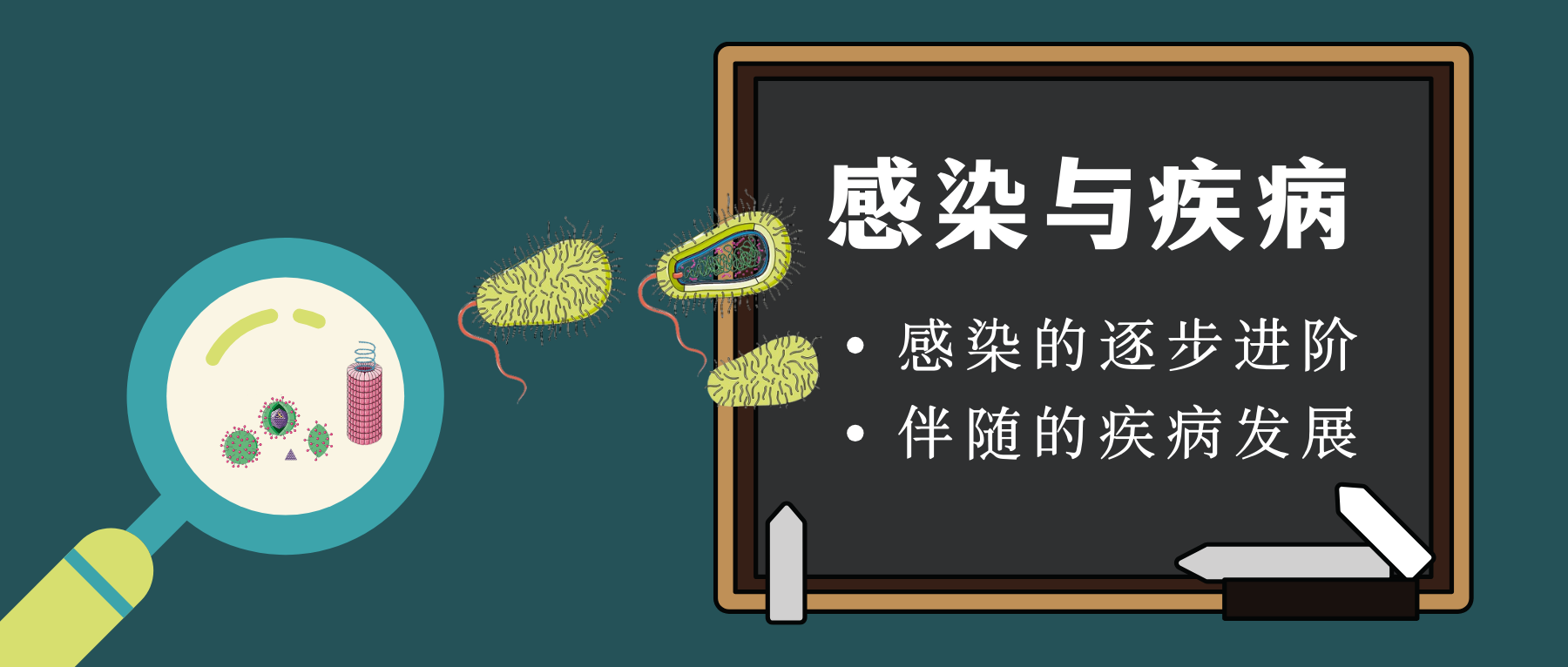 感染与疾病，感染的逐步进阶以及伴随的疾病发展 – 谷禾健康