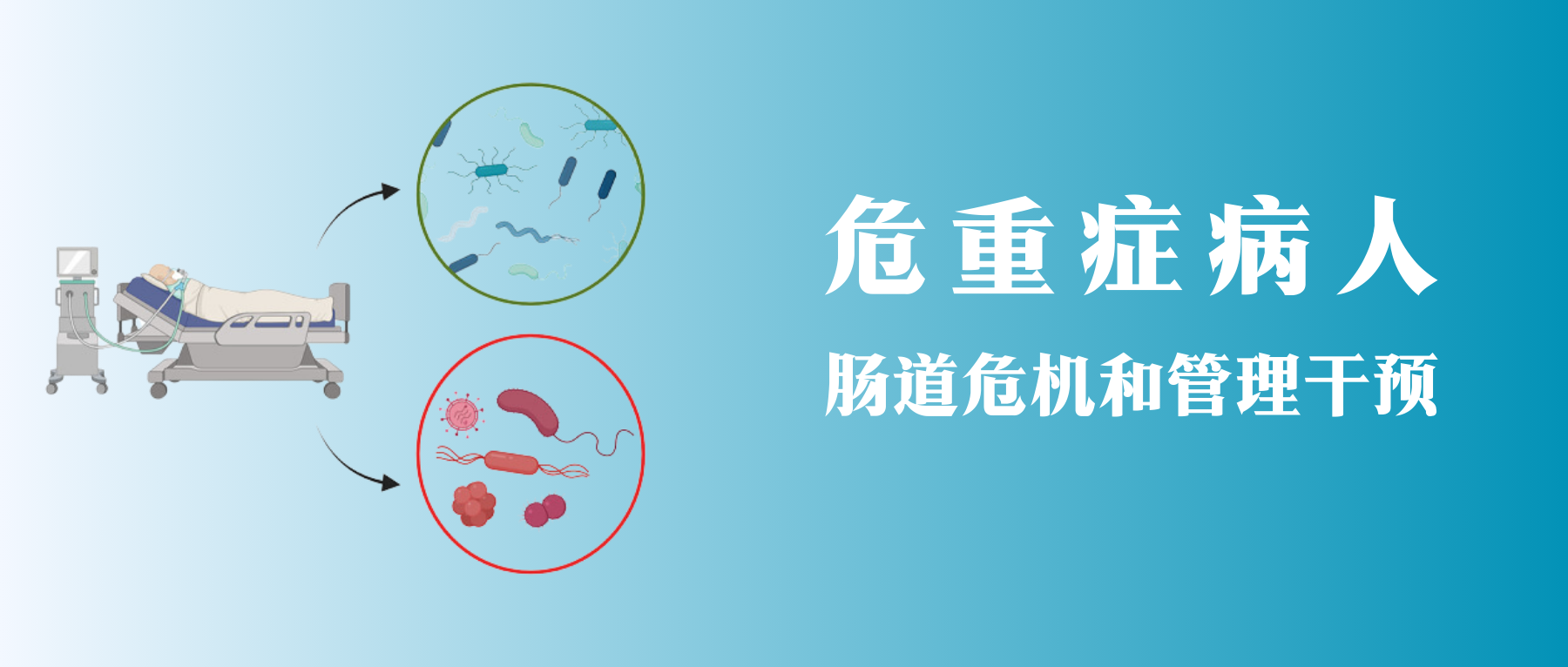 肠肺轴– 谷禾健康