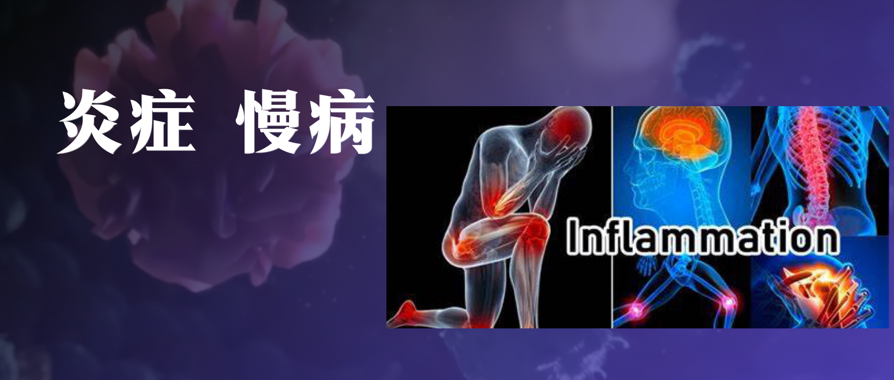 模式识别受体 – 谷禾健康