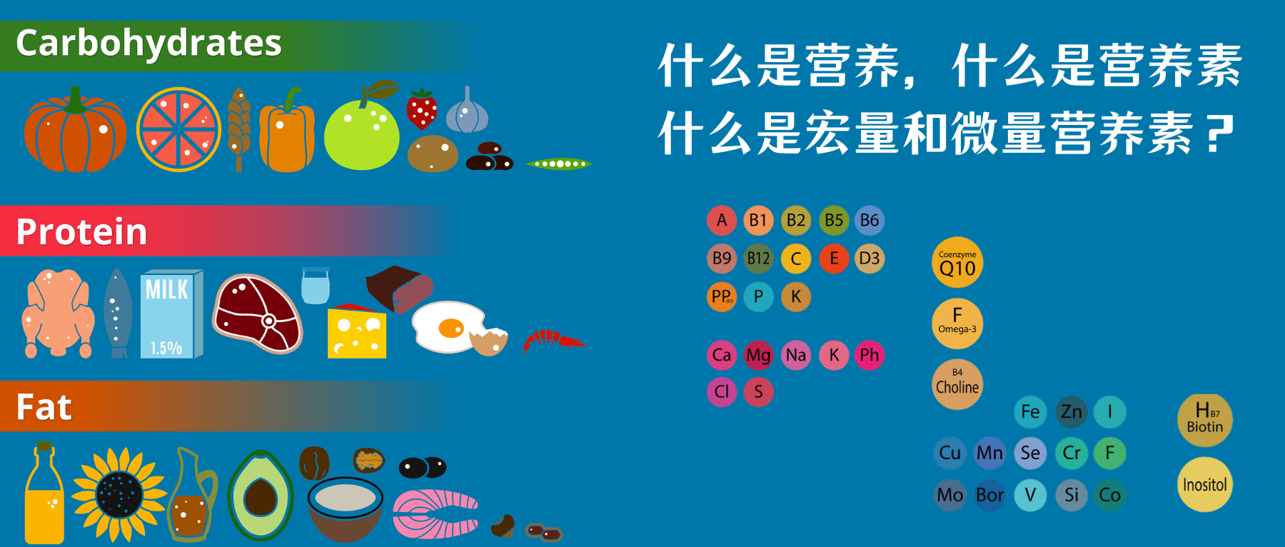 蛋白质– 谷禾健康