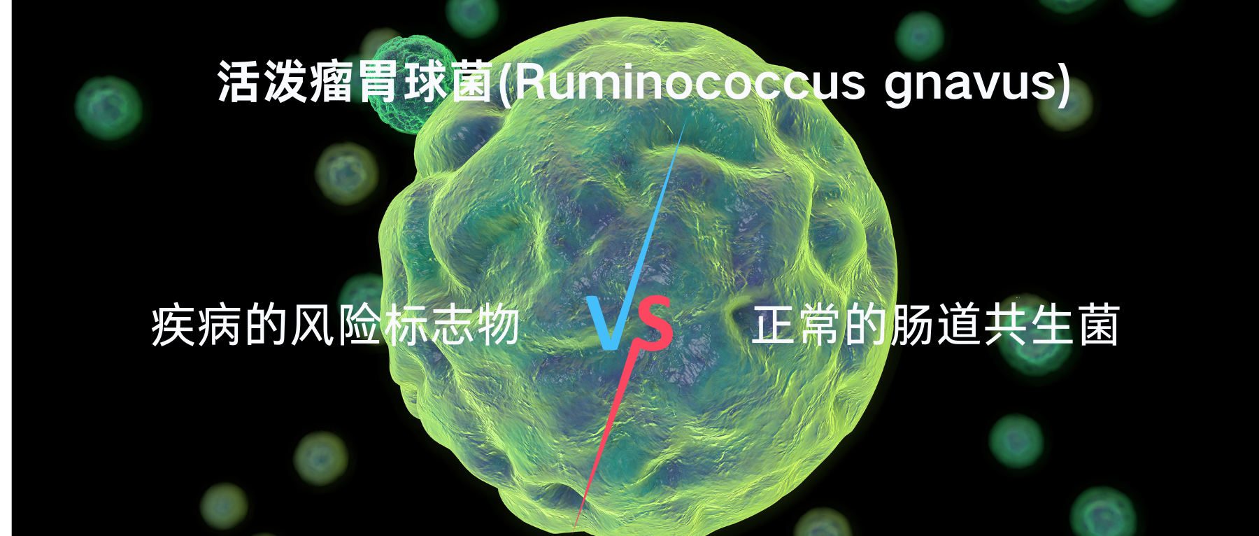 活泼瘤胃球菌（Ruminococcus gnavus）——多种疾病风险的潜在标志物 – 谷禾健康