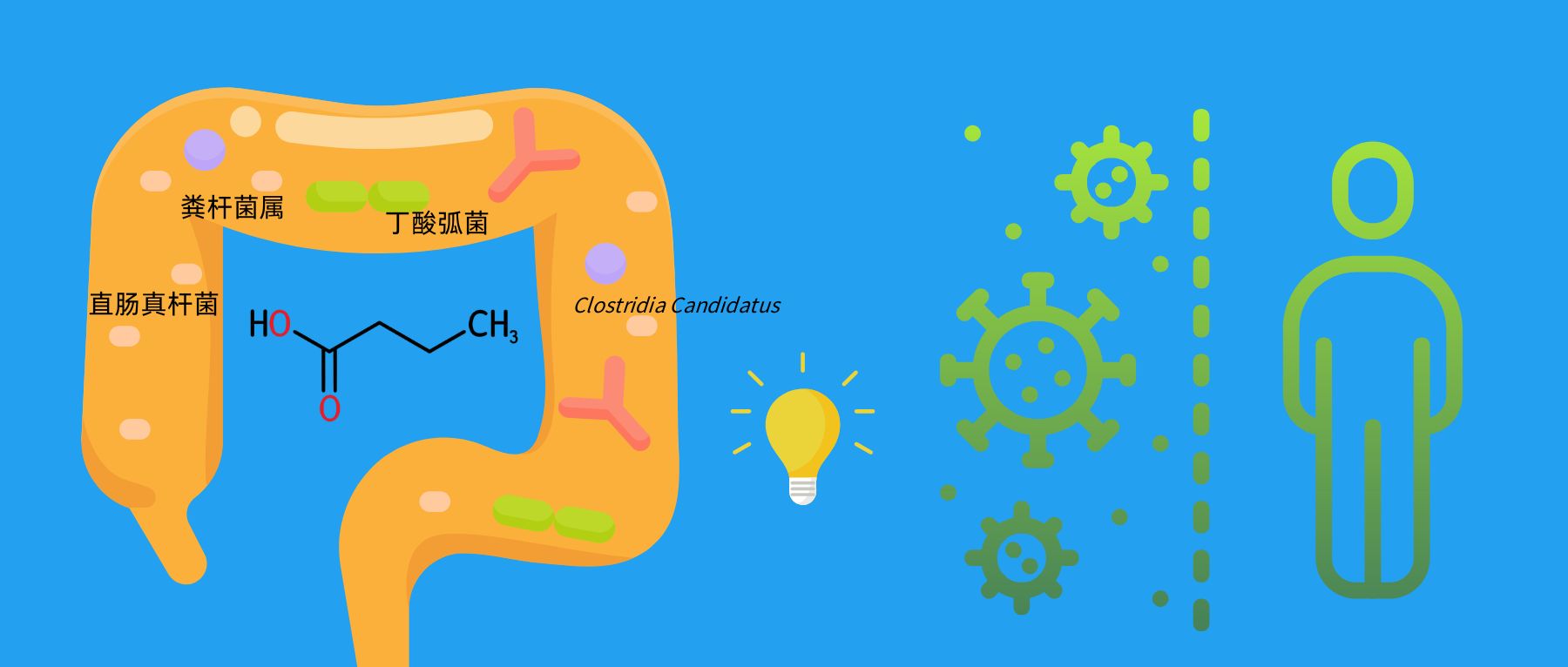 有害菌– 谷禾健康