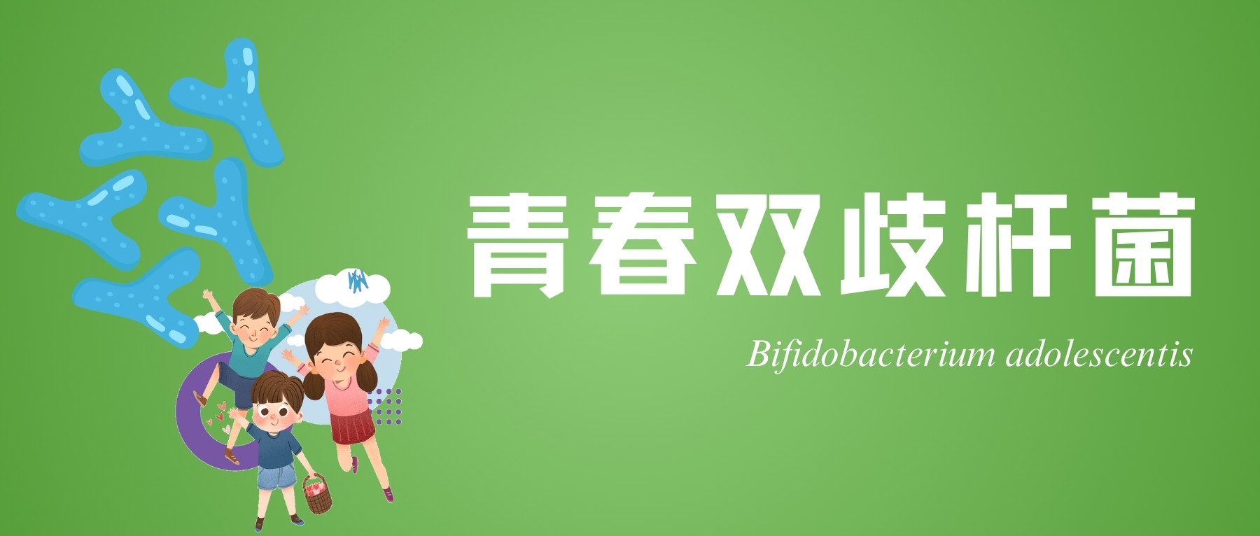 青春双歧杆菌(Bifidobacterium adolescentis)——功能性食品和微生物疗法中的明星菌种 – 谷禾健康