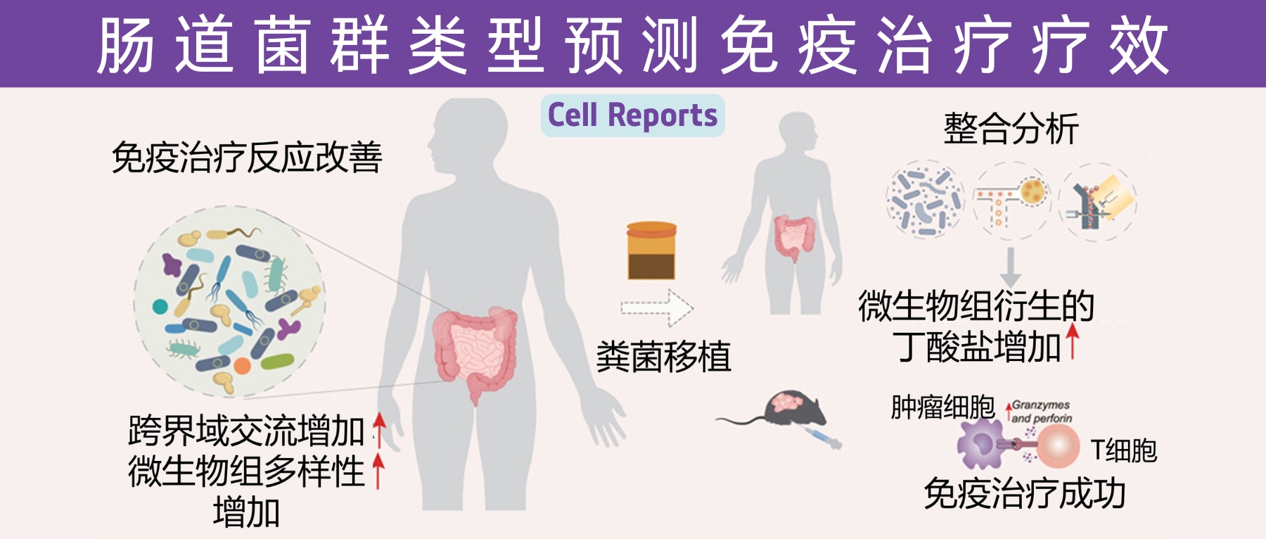 多样性– 谷禾健康
