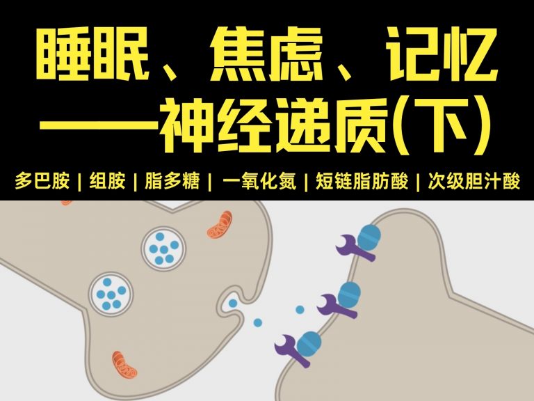 肠道菌群代谢产物(下)-多巴胺、组胺、一氧化氮、短链脂肪酸、脂多糖、次级胆汁酸 – 谷禾健康