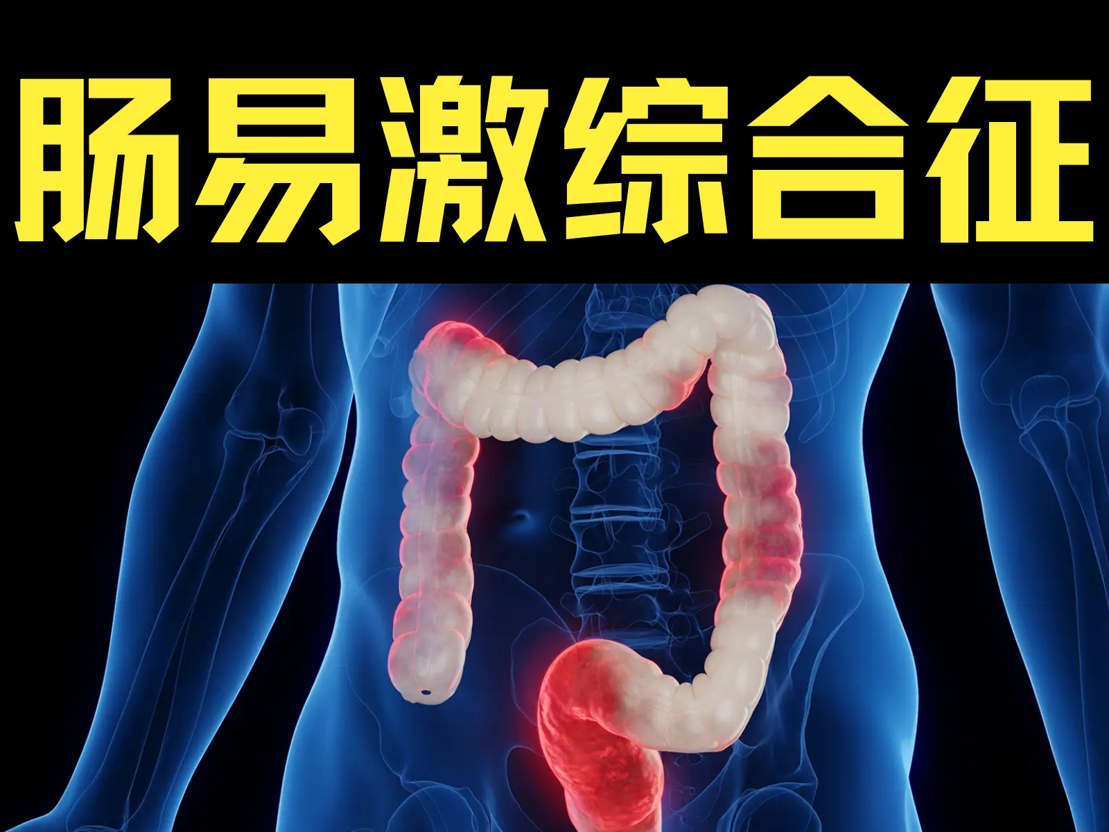 肠易激综合征：从症状识别到自我管理 – 谷禾健康