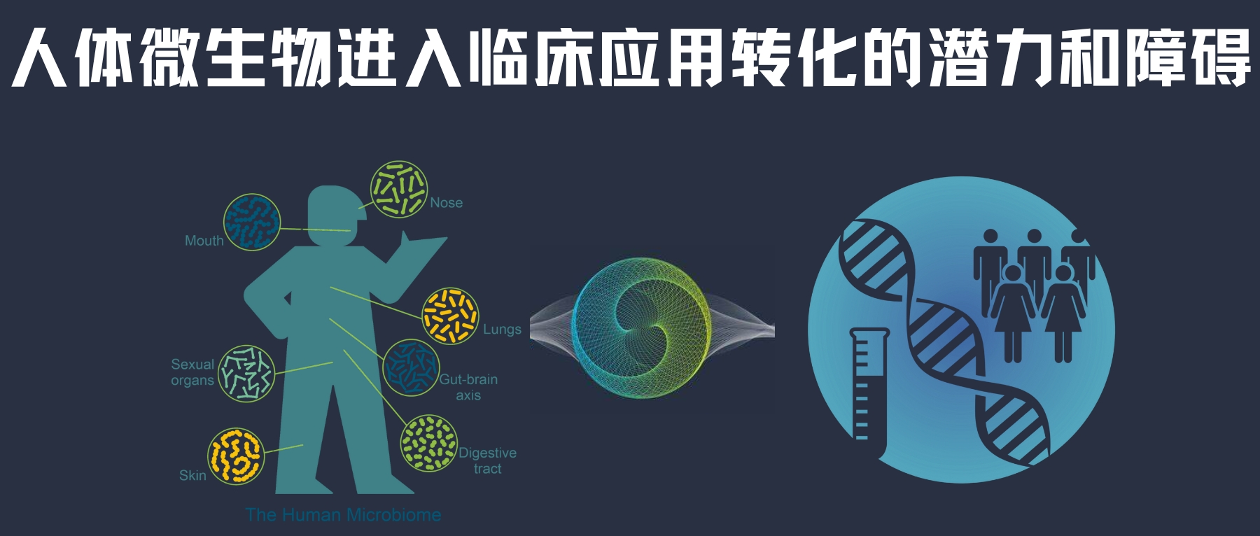 Fusobacterium nucleatum – 谷禾健康