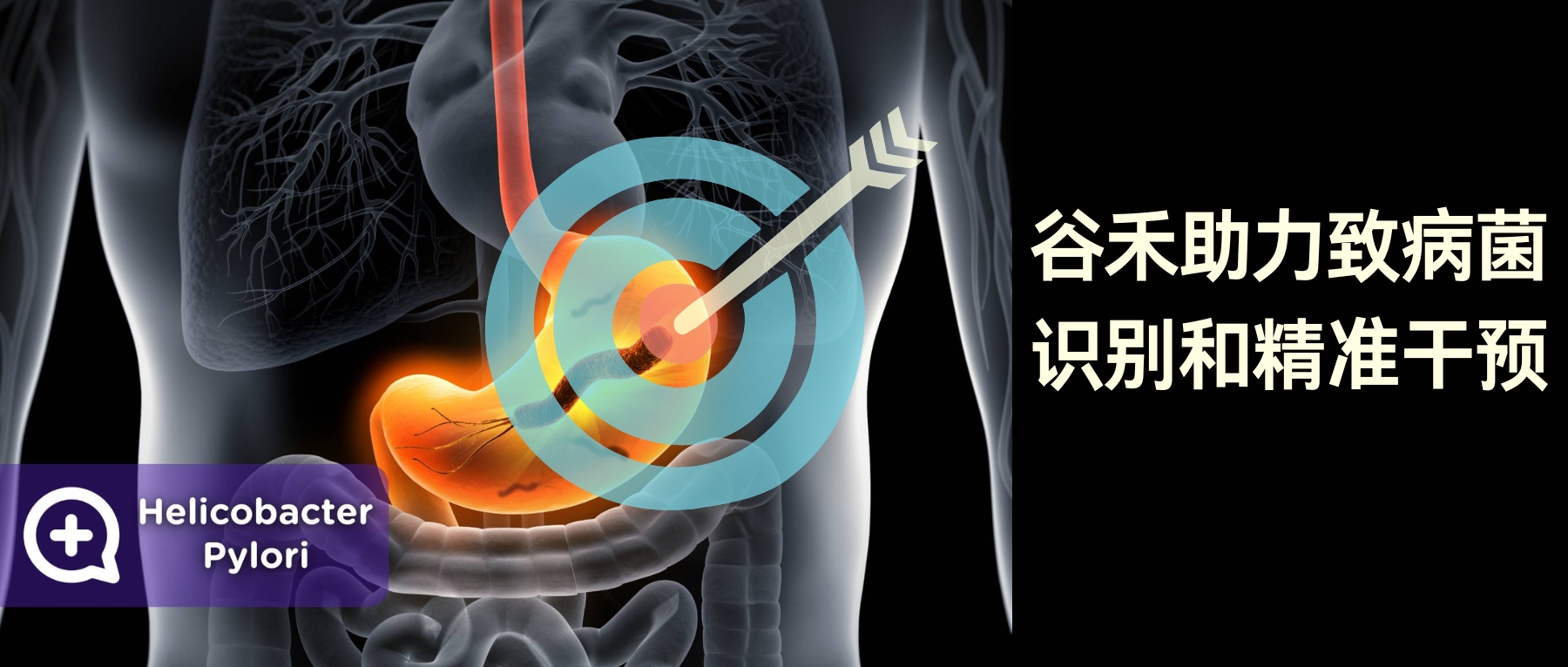 质子泵抑制剂– 谷禾健康