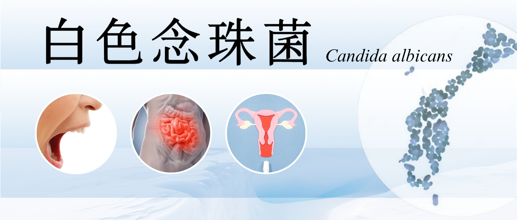 科普– 第13页– 谷禾健康