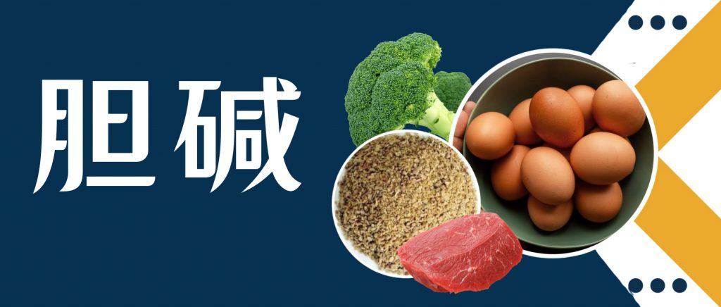 什么是胆碱,它与人体疾病有什么关系,如何平衡膳食胆碱 – 谷禾健康