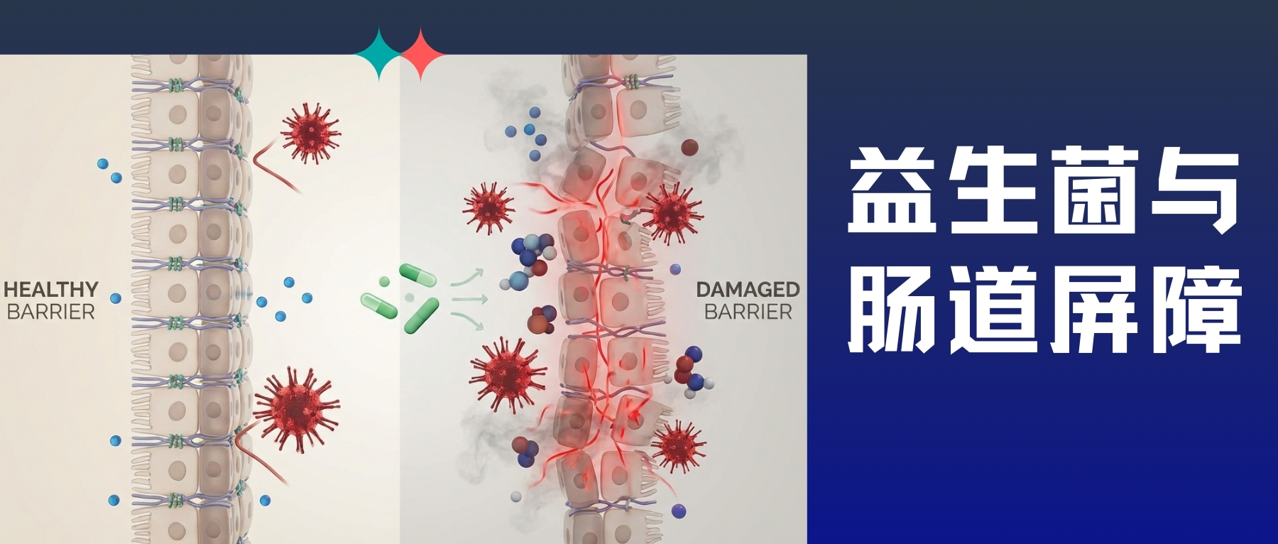 益生菌– 谷禾健康